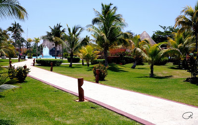 Path To The Fountain