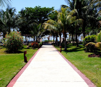 This Way To The Beach
