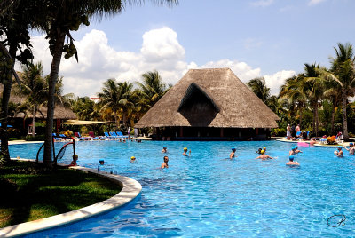 Tropical Pool And Swim-Up Bar