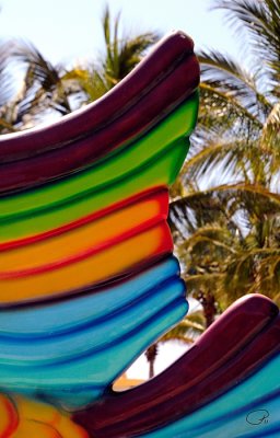 Colourful Fin