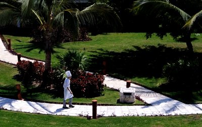 Chef On A Path