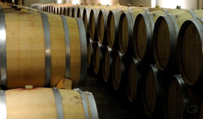 Rows Of Barrels