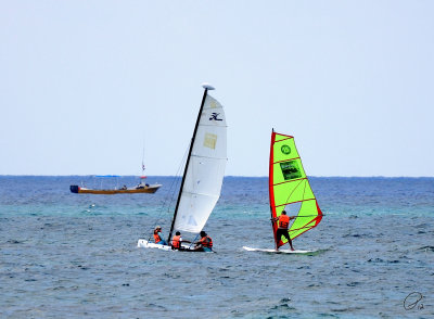 Watersports Of All Kinds