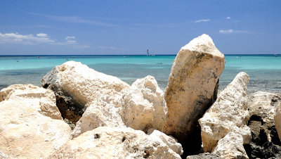 Rocky Landscape