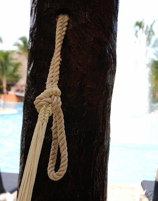 Hammock Tie