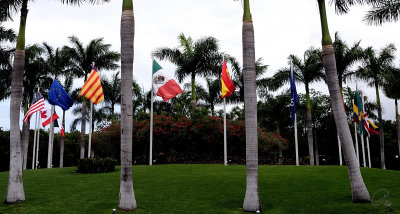 The Circle Of Flags