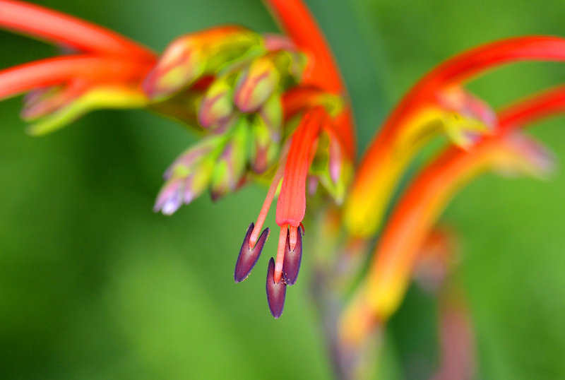 D7K_2371 A.jpg