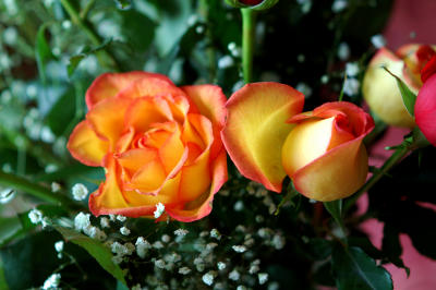 TNO02_0109 A.jpg