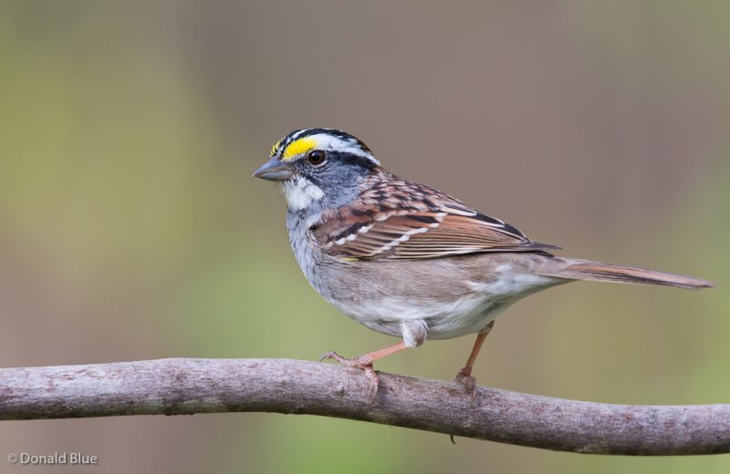 IT7C0512.jpg