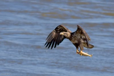 IMG_0906.jpg