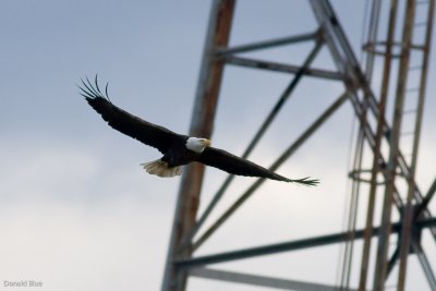 IMG_0806.jpg