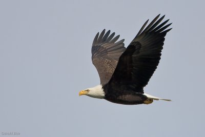 IMG_1407.jpg