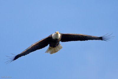 IMG_1588.jpg