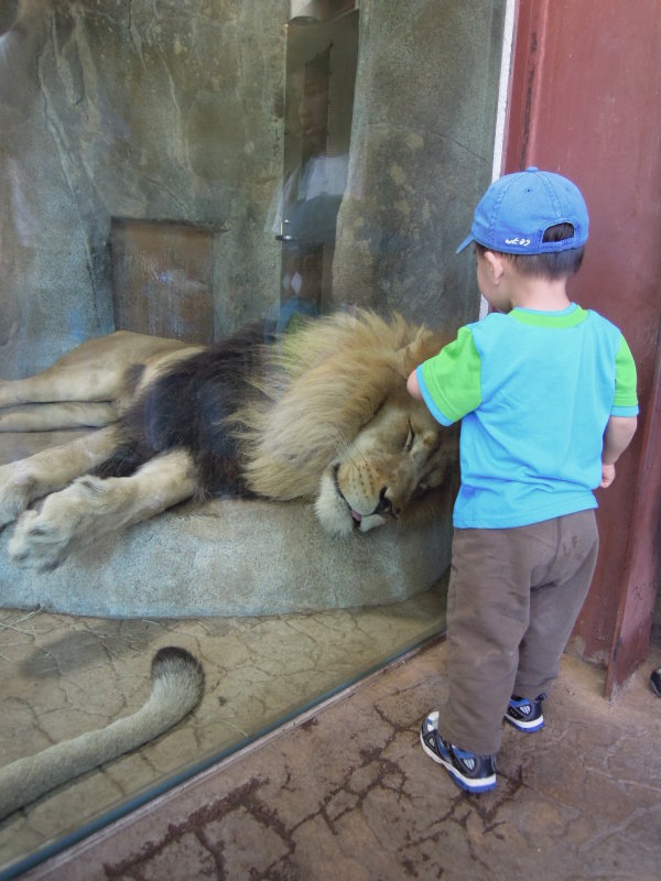 DSCN0487.JPG