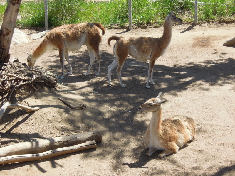 DSCN0495.JPG