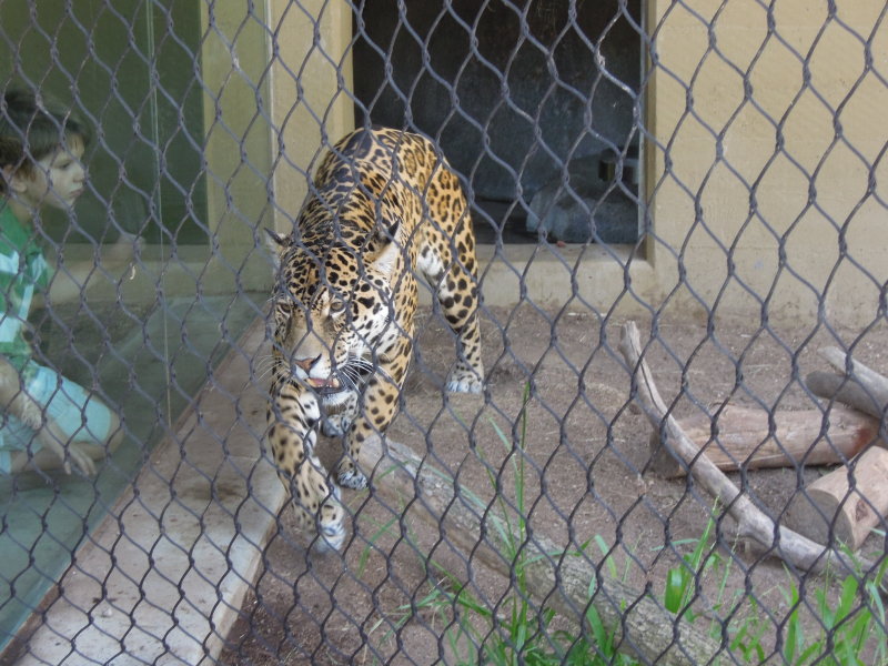 DSCN0496.JPG