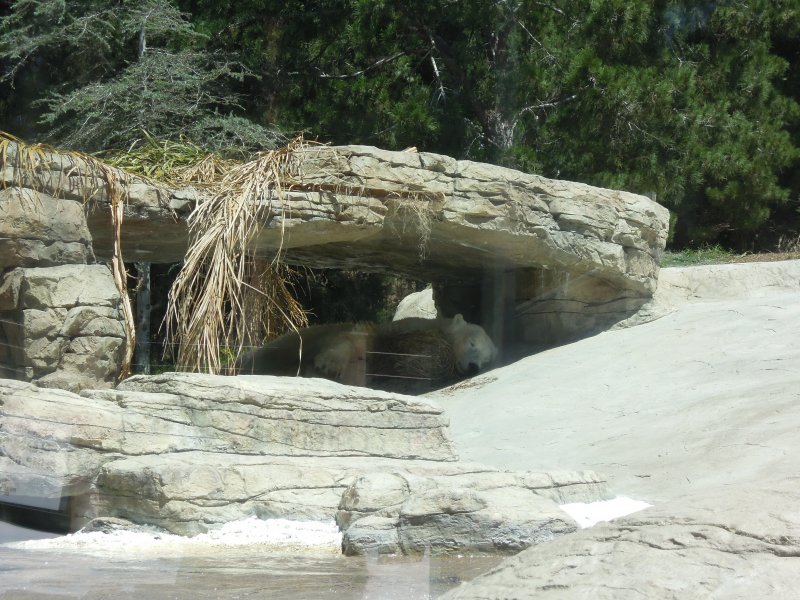DSCN0513.JPG