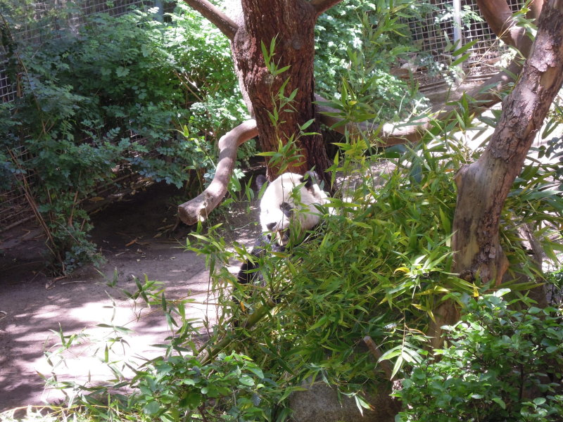 DSCN0522.JPG