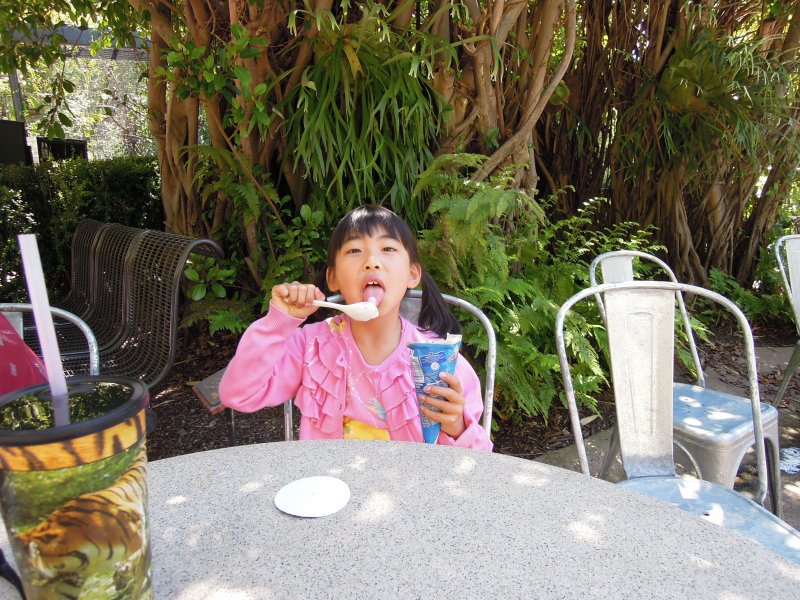 DSCN0550.JPG