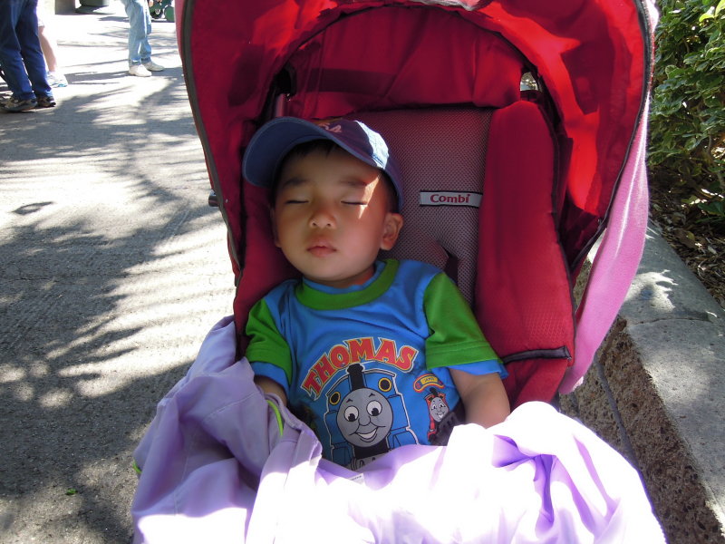 DSCN0554.JPG