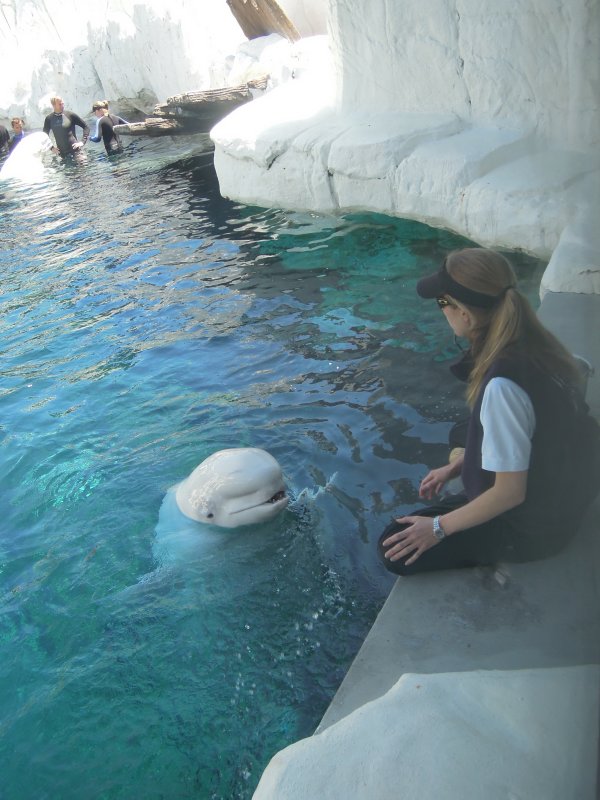 DSCN0649.JPG