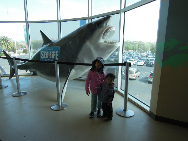 DSCN0803.JPG