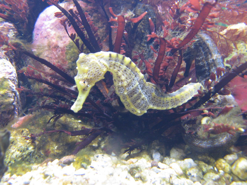 IMG_1540.JPG