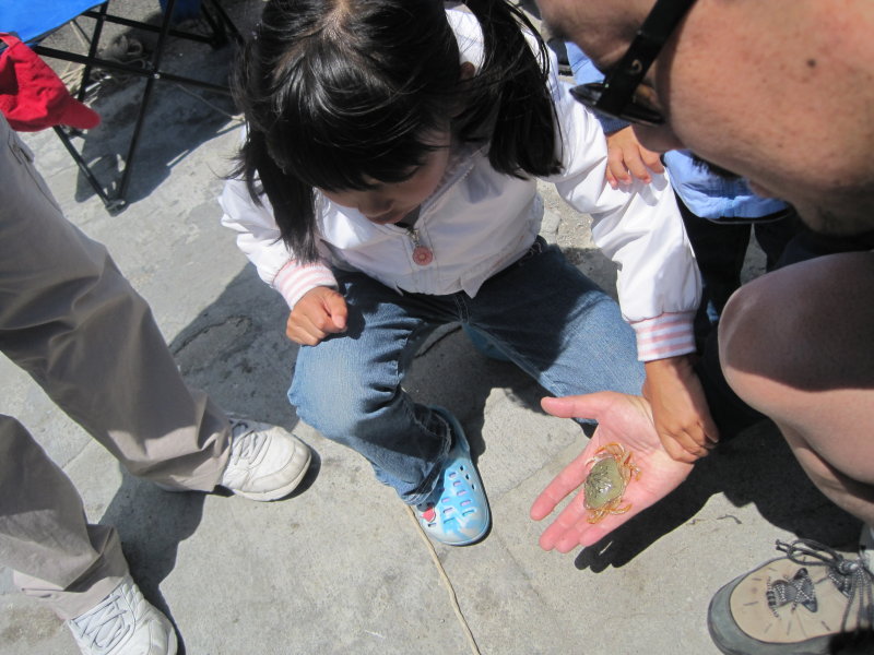 IMG_0555.JPG