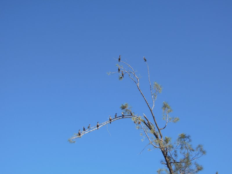 DSCN1801.JPG