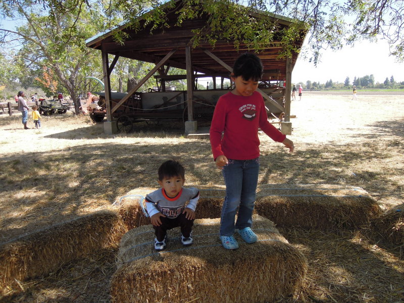 DSCN2016.JPG