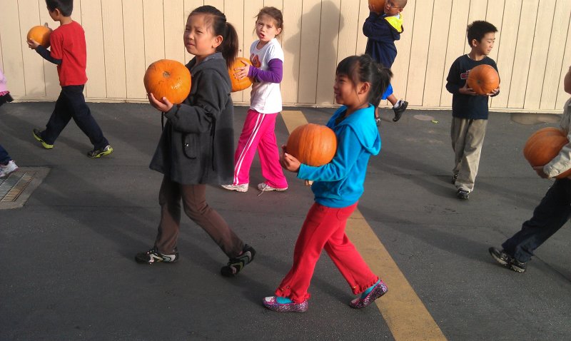 IMAG0175.jpg