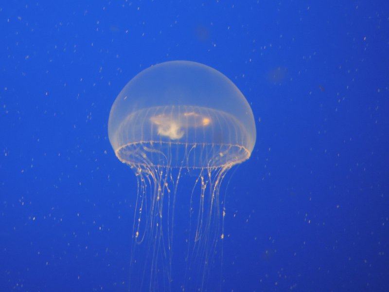 DSCN3389.JPG