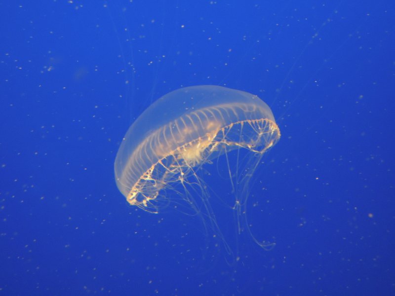 DSCN3390.JPG