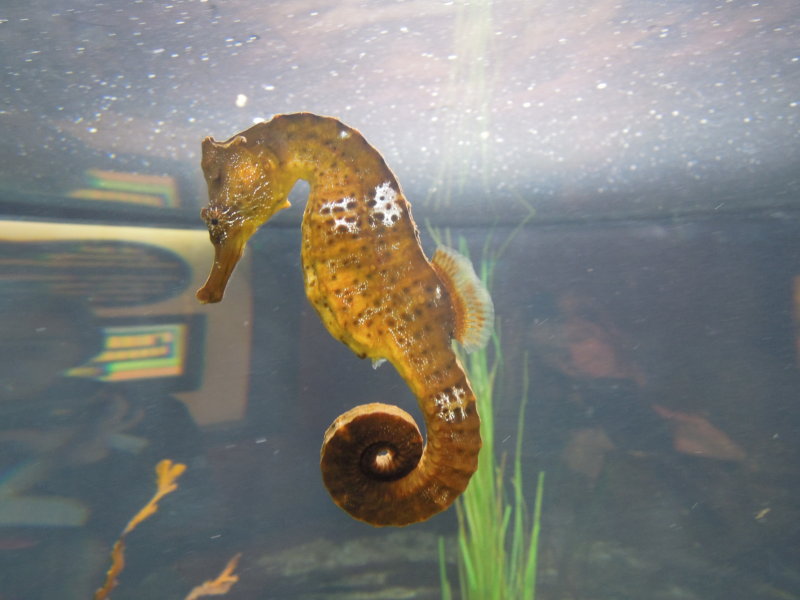 DSCN3425.JPG