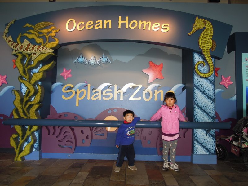 DSCN3447.JPG
