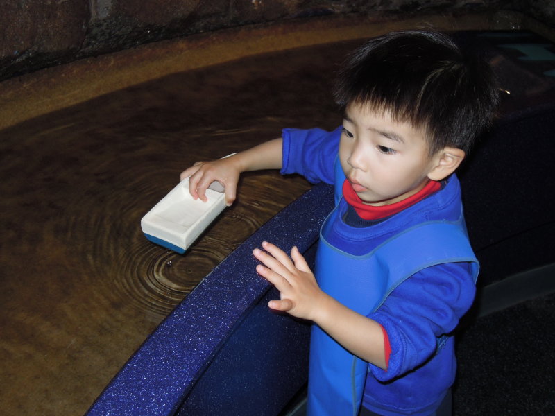DSCN3458.JPG
