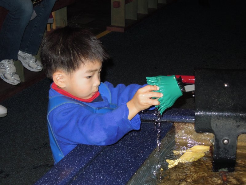 DSCN3466.JPG
