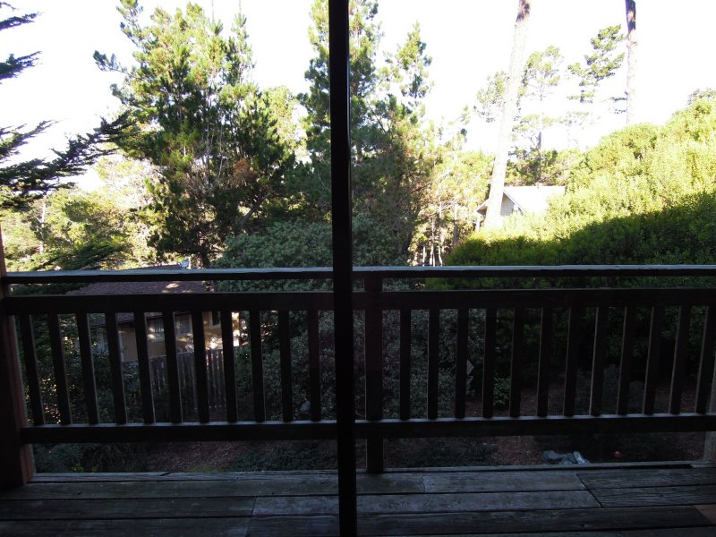 DSCN3534.JPG