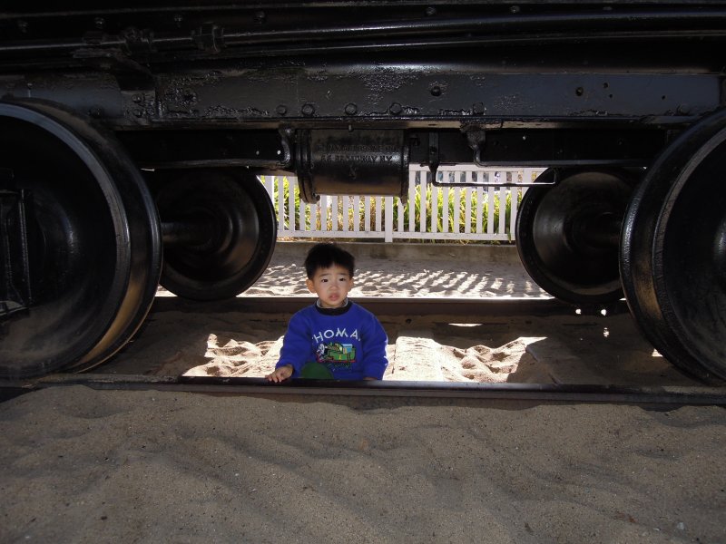 DSCN3555.JPG