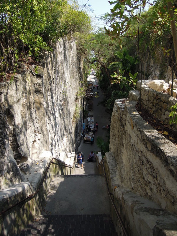 DSCN4409.JPG