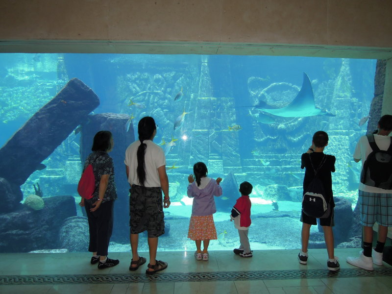 DSCN4469.JPG