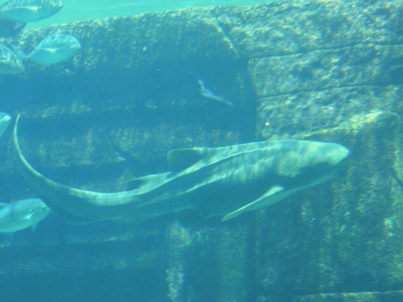 DSCN4475.JPG
