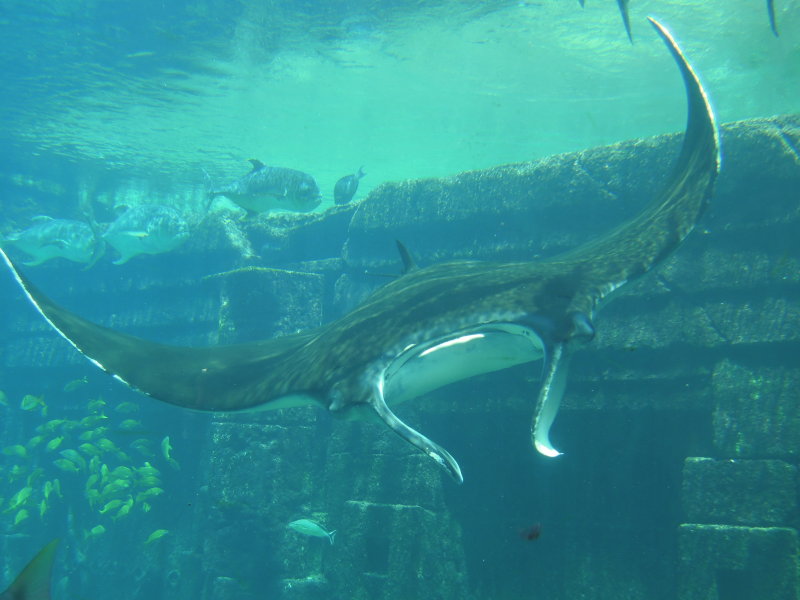 DSCN4480.JPG