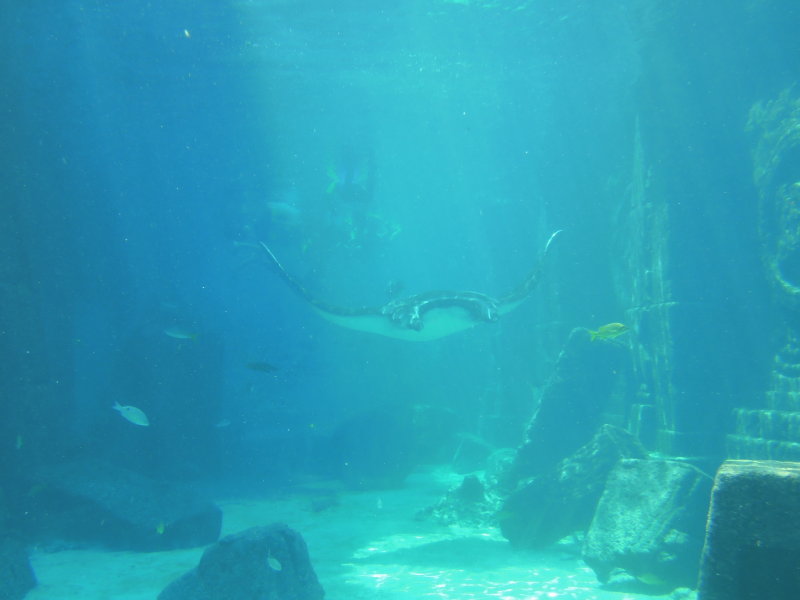 DSCN4483.JPG