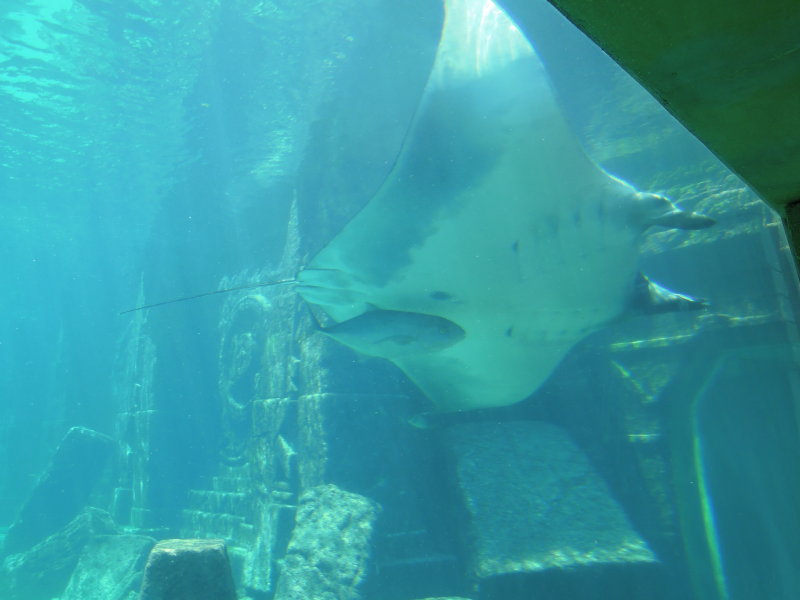 DSCN4486.JPG