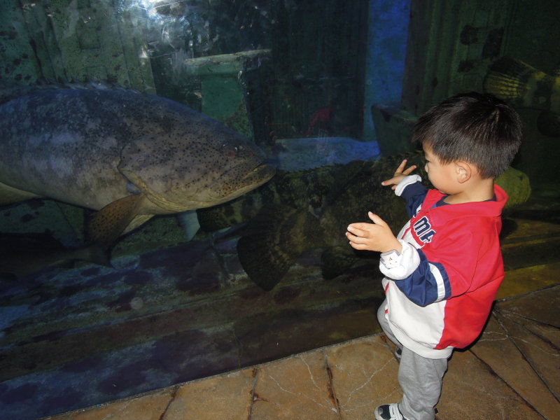 DSCN4497.JPG