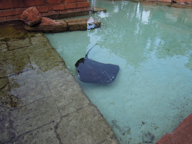 DSCN4524.JPG