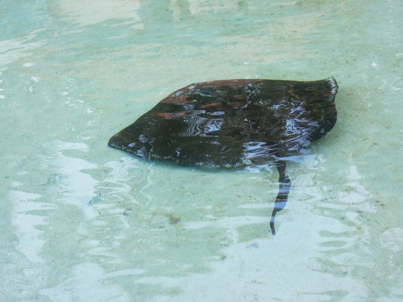 DSCN4526.JPG