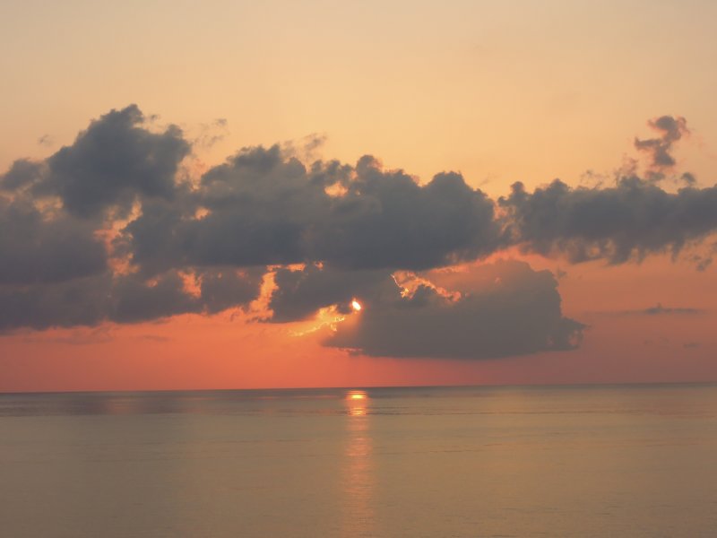 DSCN4533.JPG