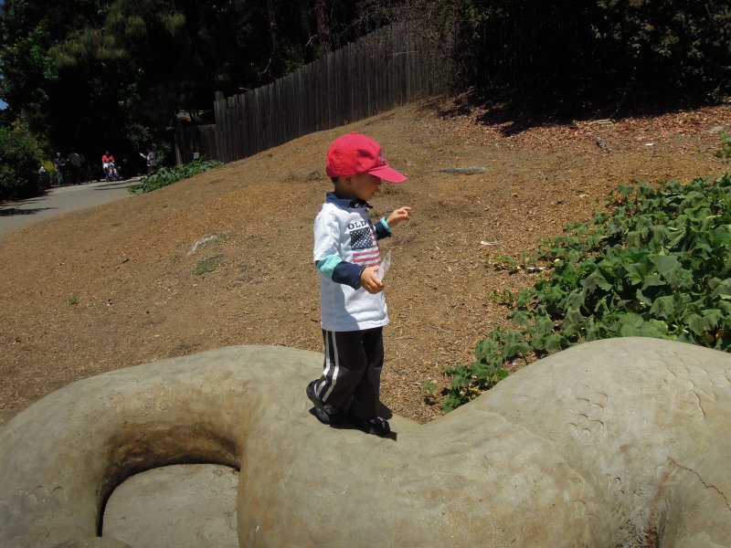 DSCN5364.JPG